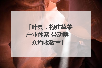 叶县：构建蔬菜产业体系 带动群众增收致富