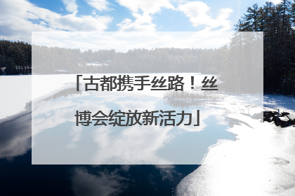 古都携手丝路！丝博会绽放新活力
