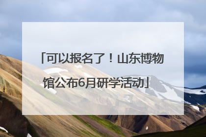 可以报名了！山东博物馆公布6月研学活动