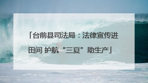 台前县司法局：法律宣传进田间 护航“三夏”助生产