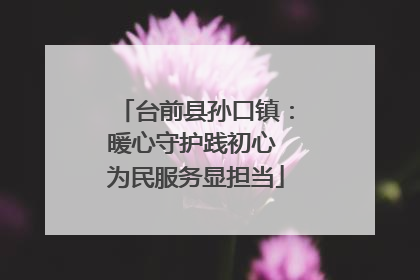 台前县孙口镇：暖心守护践初心 为民服务显担当