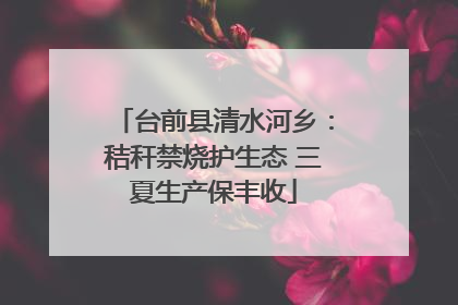 台前县清水河乡：秸秆禁烧护生态 三夏生产保丰收