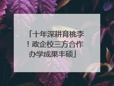 十年深耕育桃李！政企校三方合作办学成果丰硕