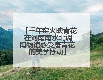 千年窑火映青花 在河南南水北调博物馆感受唐青花的美学悸动