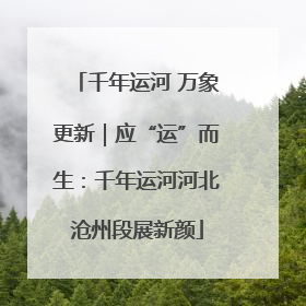 千年运河 万象更新｜应“运”而生：千年运河河北沧州段展新颜