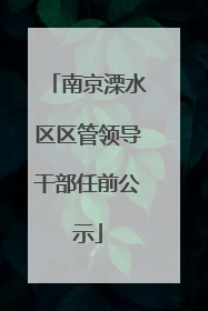 南京溧水区区管领导干部任前公示