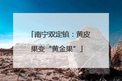 南宁双定镇：黄皮果变“黄金果”