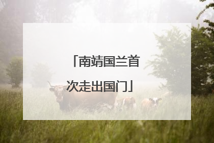南靖国兰首次走出国门