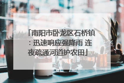 南阳市卧龙区石桥镇：迅速响应强降雨 连夜疏通河道护农田