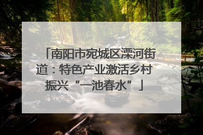 南阳市宛城区溧河街道：特色产业激活乡村振兴“一池春水”
