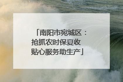 南阳市宛城区：抢抓农时保夏收 贴心服务助生产