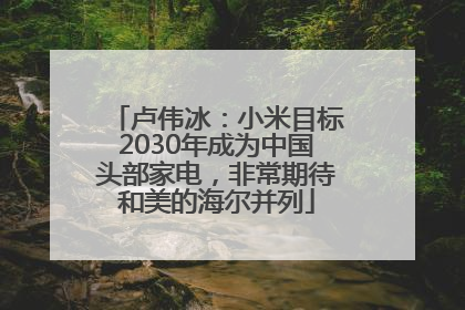 卢伟冰：小米目标2030年成为中国头部家电，非常期待和美的海尔并列