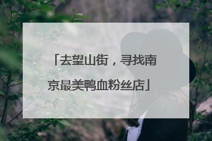 去望山街，寻找南京最美鸭血粉丝店