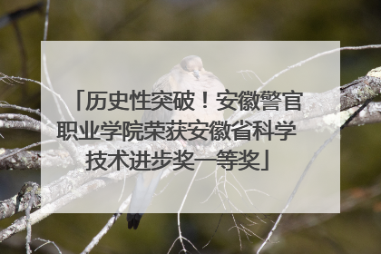 历史性突破！安徽警官职业学院荣获安徽省科学技术进步奖一等奖
