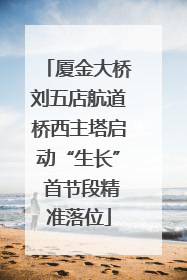 厦金大桥刘五店航道桥西主塔启动“生长” 首节段精准落位
