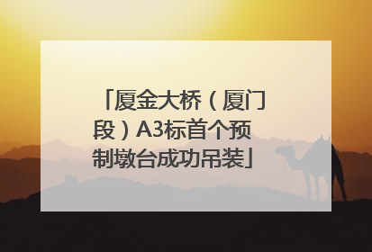 厦金大桥（厦门段）A3标首个预制墩台成功吊装