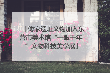 傅家遗址文物加入东营市美术馆“一眼千年”文物科技美学展
