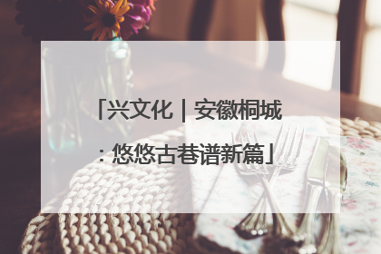 兴文化｜安徽桐城：悠悠古巷谱新篇