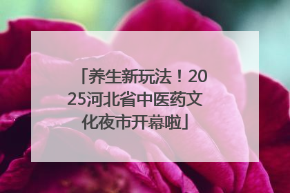 养生新玩法！2025河北省中医药文化夜市开幕啦