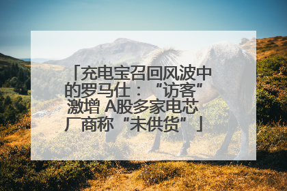 充电宝召回风波中的罗马仕：“访客”激增 A股多家电芯厂商称“未供货”