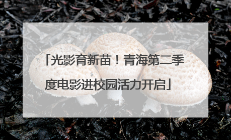 光影育新苗！青海第二季度电影进校园活力开启