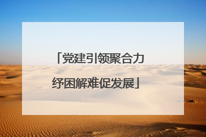 党建引领聚合力 纾困解难促发展