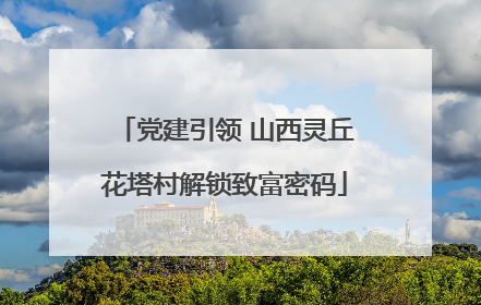 党建引领 山西灵丘花塔村解锁致富密码
