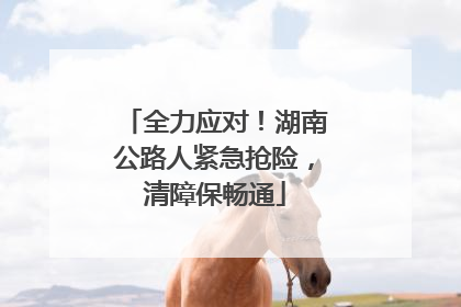 全力应对！湖南公路人紧急抢险，清障保畅通