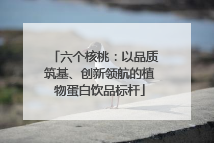 六个核桃：以品质筑基、创新领航的植物蛋白饮品标杆