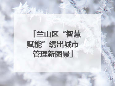兰山区“智慧赋能”绣出城市管理新图景