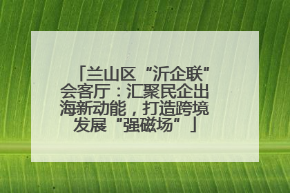 兰山区“沂企联”会客厅：汇聚民企出海新动能，打造跨境发展“强磁场”