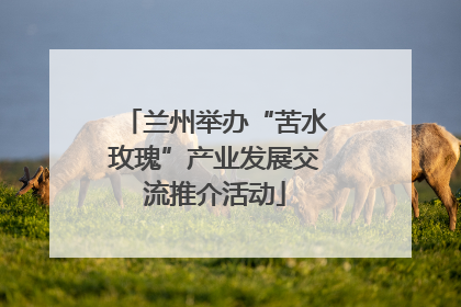 兰州举办“苦水玫瑰”产业发展交流推介活动