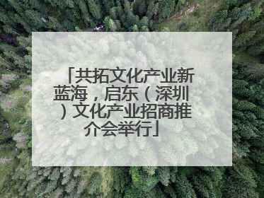 共拓文化产业新蓝海，启东（深圳）文化产业招商推介会举行