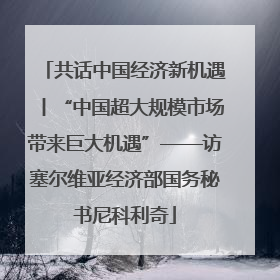 共话中国经济新机遇丨“中国超大规模市场带来巨大机遇”——访塞尔维亚经济部国务秘书尼科利奇