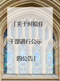 关于对拟任干部进行公示的公告