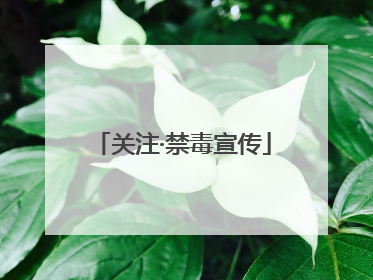 关注·禁毒宣传