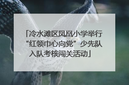 冷水滩区凤凰小学举行“红领巾心向党”少先队入队考核闯关活动