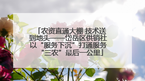 农资直通大棚 技术送到地头——岱岳区供销社以“服务下沉”打通服务“三农”最后一公里