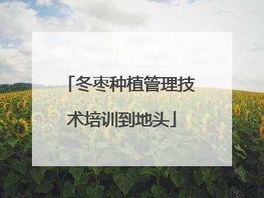 冬枣种植管理技术培训到地头