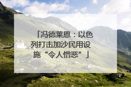 冯德莱恩：以色列打击加沙民用设施“令人憎恶”