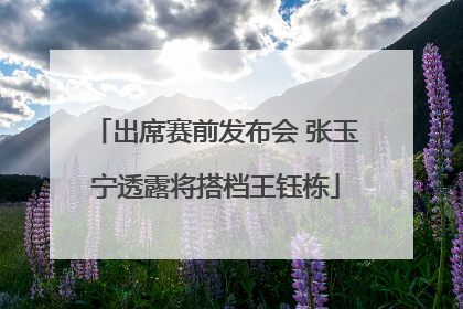出席赛前发布会 张玉宁透露将搭档王钰栋