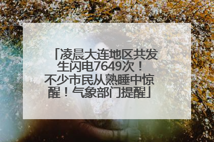 凌晨大连地区共发生闪电7649次！不少市民从熟睡中惊醒！气象部门提醒