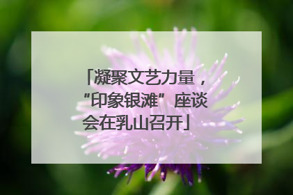 凝聚文艺力量，“印象银滩”座谈会在乳山召开