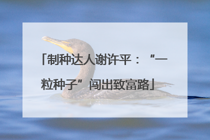 制种达人谢许平：“一粒种子”闯出致富路