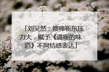 刘昊然：接棒靳东压力大，赋予《温暖的味道》不同情感表达