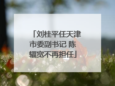 刘桂平任天津市委副书记 陈辐宽不再担任