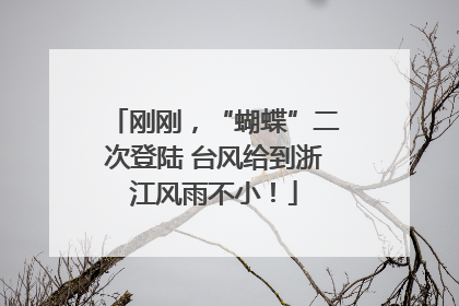 刚刚，“蝴蝶”二次登陆 台风给到浙江风雨不小！