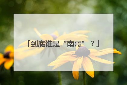 到底谁是“南哥”？