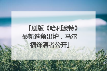 剧版《哈利波特》最新选角出炉，马尔福饰演者公开