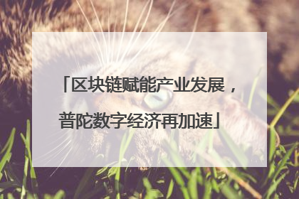 区块链赋能产业发展，普陀数字经济再加速